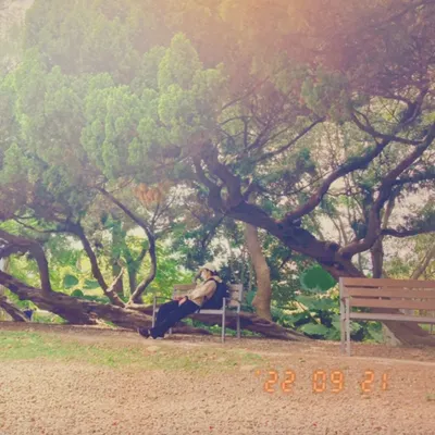 在22歲的這一年，我迷惘中的沙龍