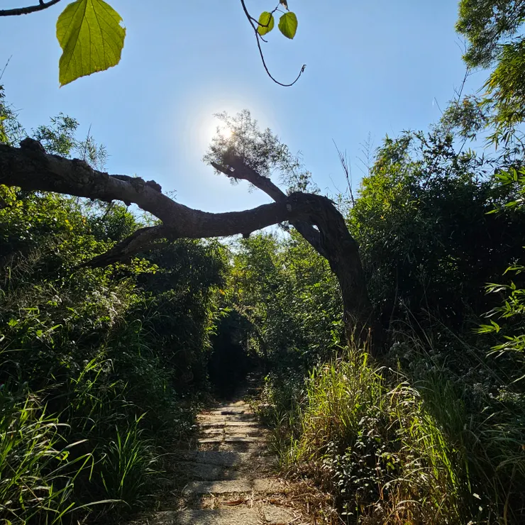 我的目前進度,下次繼續努力💪🏻