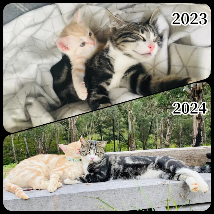 IG影片:一年前&後