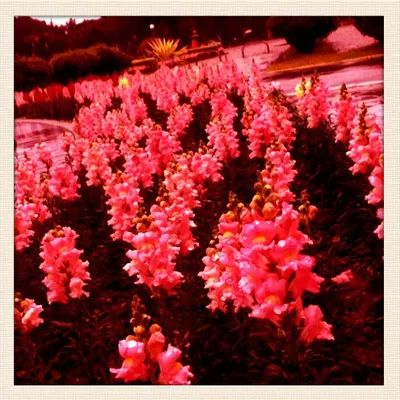 重度躁鬱症的日常