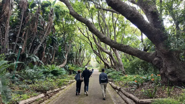 植物園裡有非常漂亮的步道