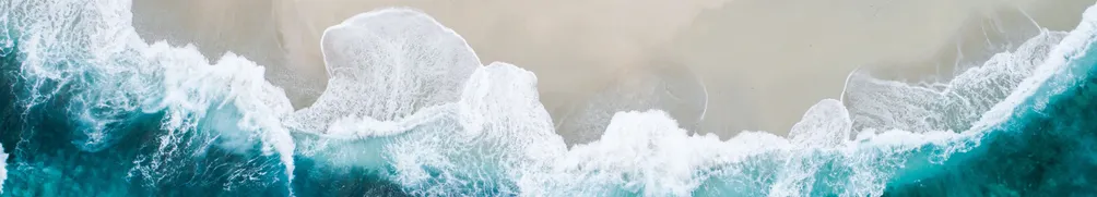 極簡主義者阿斐拉的財務自由筆記