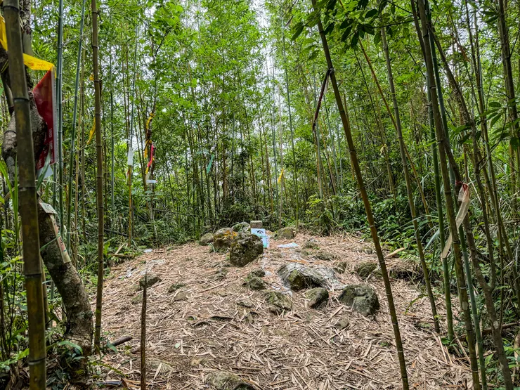 1310 抵達金平山