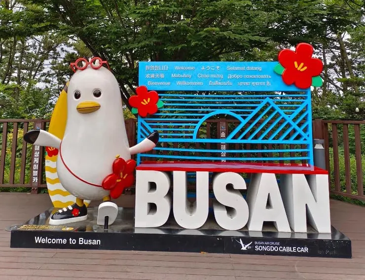 松島上歡迎海鷗