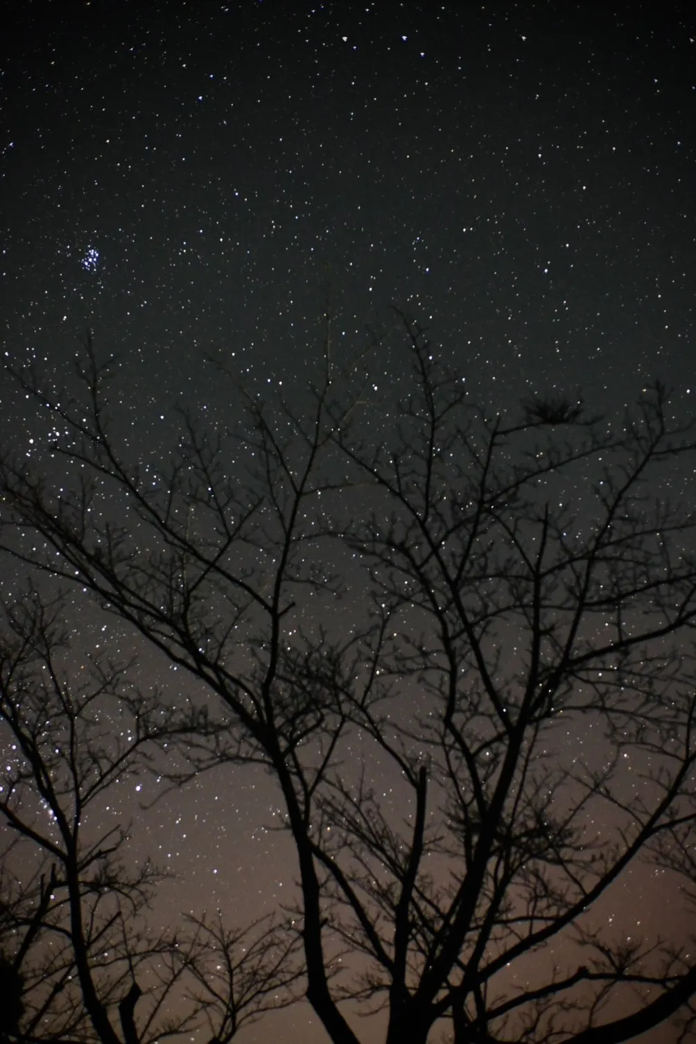 虛構事務所｜劇場＆電影的放縱時光