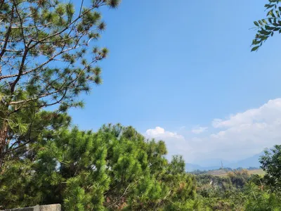 有些提醒，是希望你平安