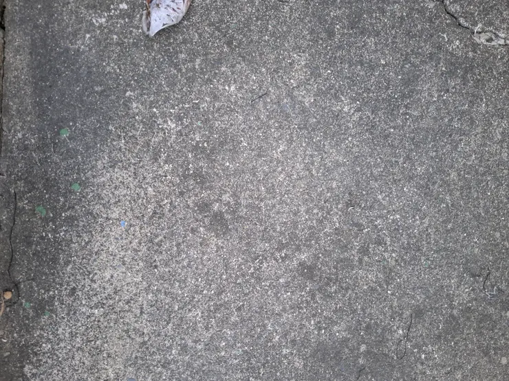 謝謝小黑咪的禮物,我很開心。如果是財神爺送我禮物,我會更開心的。