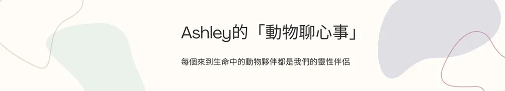 Ashley 艾雪腦洞大開的沙龍