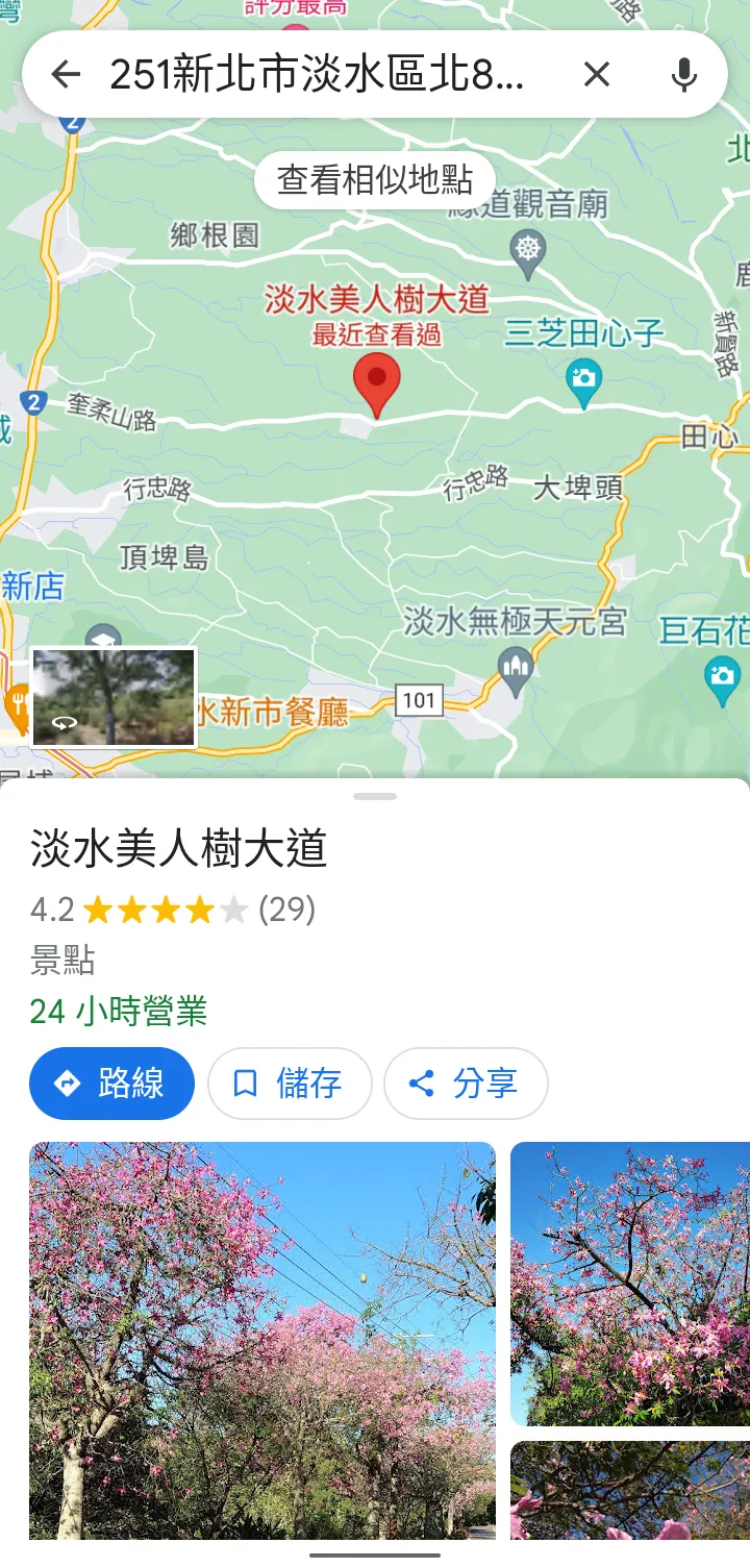 淡水美人樹大道谷歌地圖截圖