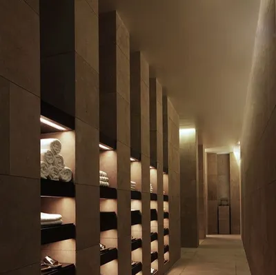 鴨嘴獸泡著文字浴