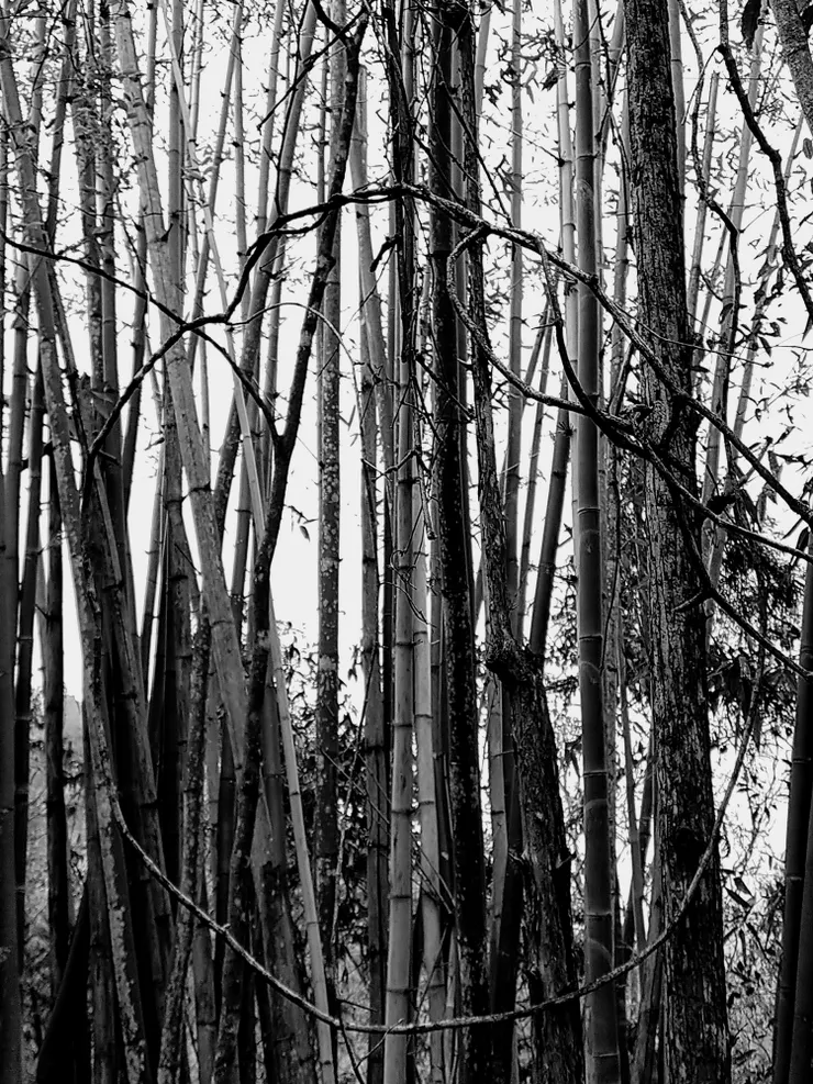 Photographer by Hsun