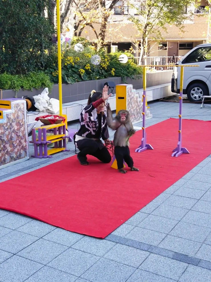 商場一樓廣場也有猴子表演