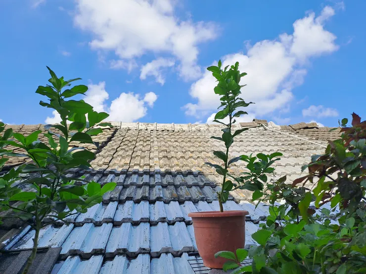 清晨的屋頂上，有湛藍的天空，而不甘寂寞的白雲，正緩緩地走了過來。清晨的屋頂上，滿佈著沁涼的空氣，拂面而來的徐徐微風，吹著我好生舒暢♡
