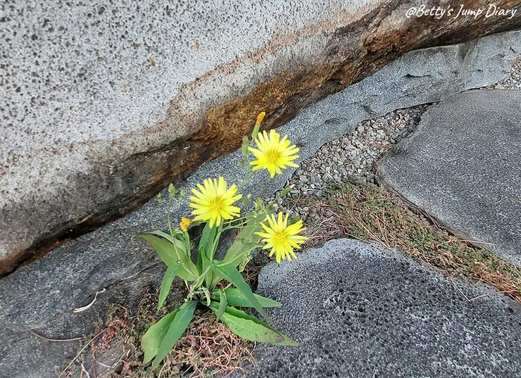 ▲新竹峨眉「大自然文化世界-彌勒殿」/圖片來源:Betty's Jump Diary