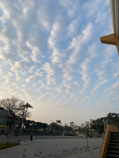 【收心操的獎賞：擊敗賴床後遇見的魚鱗天】