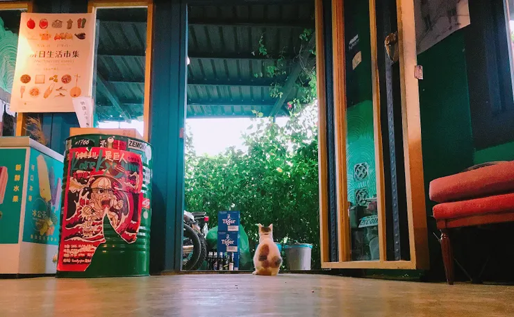 嗨海集會所的主色調是淺海的藍,彷彿一踏進門,就能感受到海洋的呼吸。