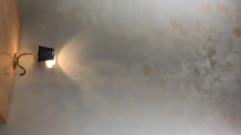 野口的觀察筆記