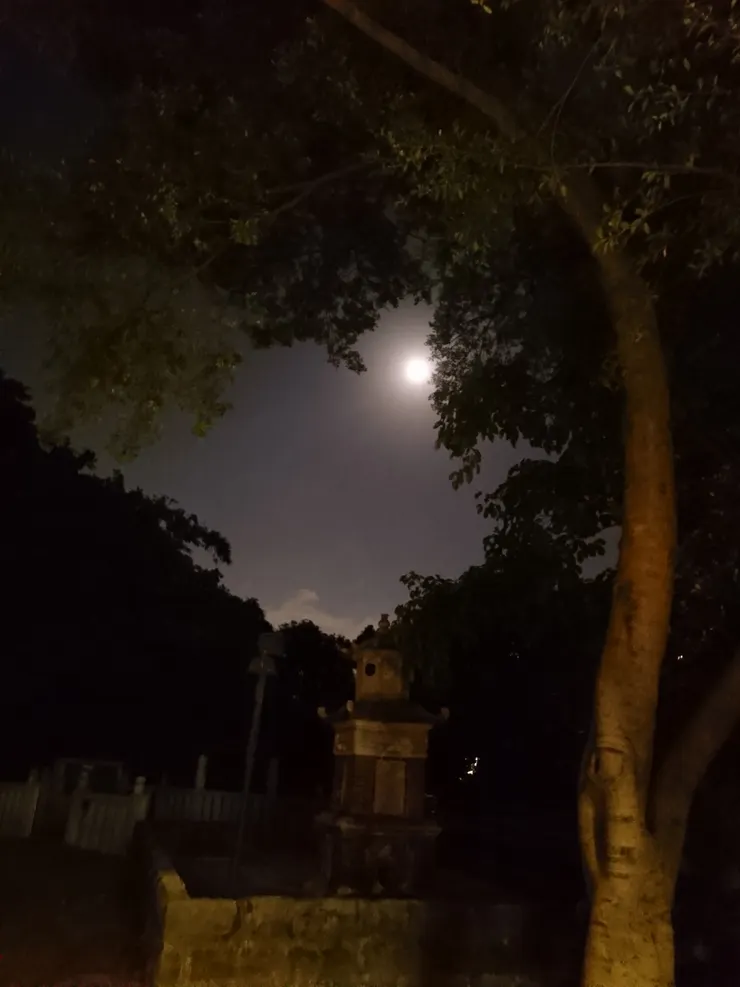 每個人想要的都不一樣!!