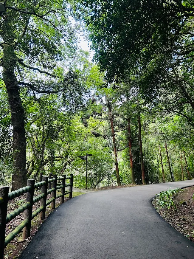 陽明山內健行路線