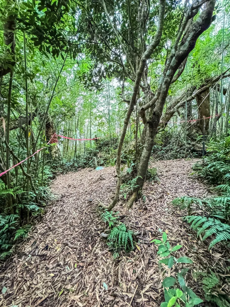 1445 抵逹金平山南峰。