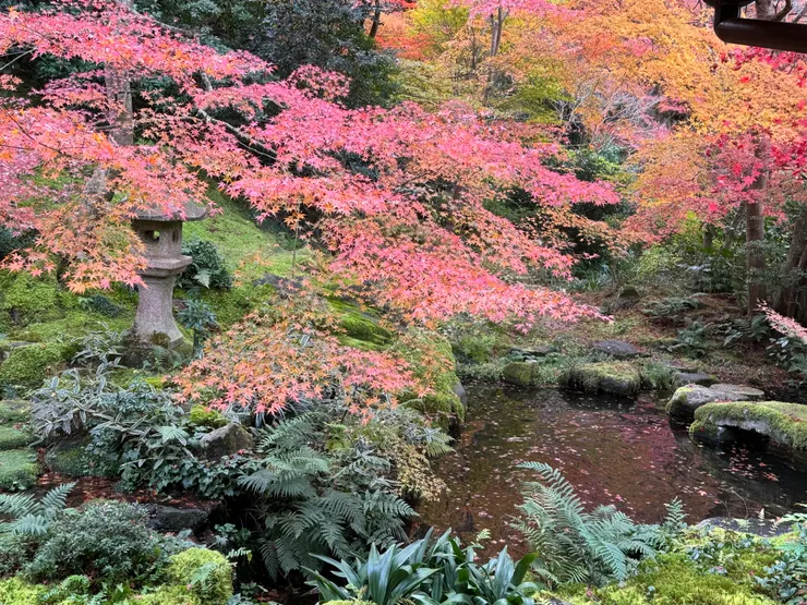 琉璃光院的庭院風景