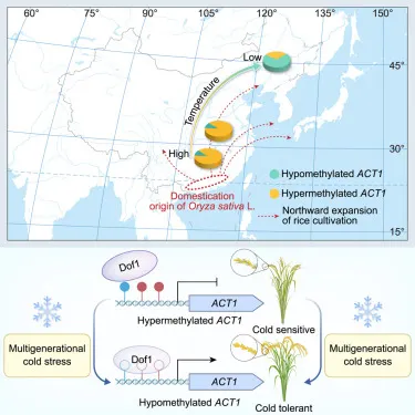 圖片取自期刊。
