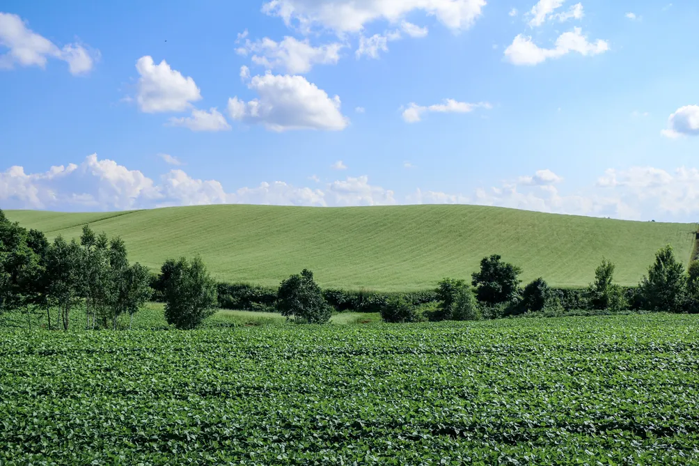 喜愛各地旅遊租車的玩家