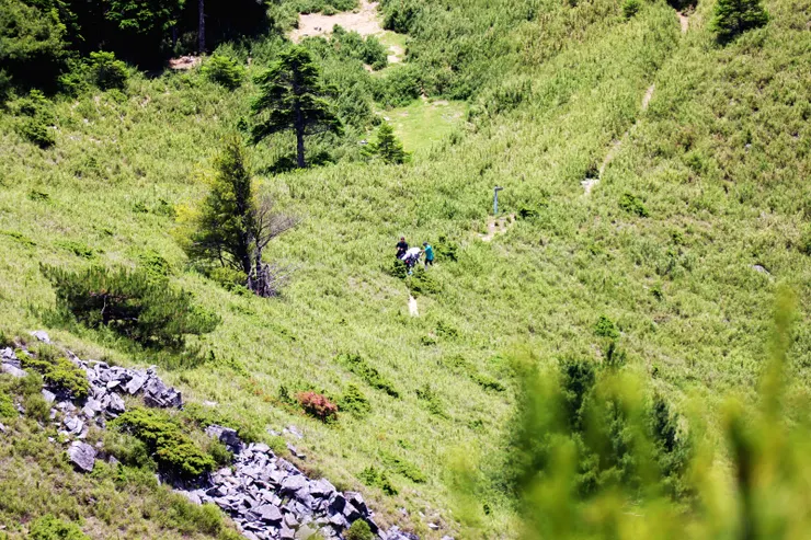 ▲俯視大南西鞍營地(協作正在休息)
