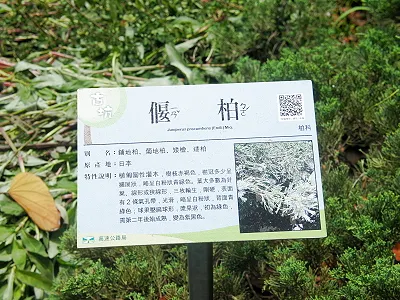 src