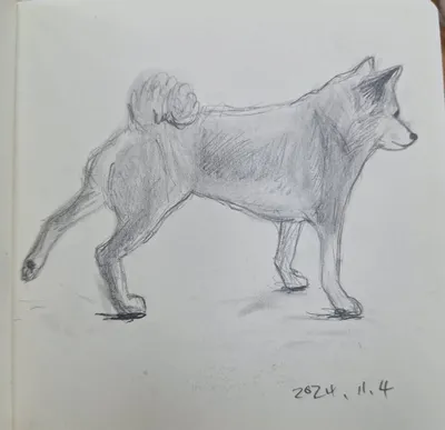 請讓我畫您的寵物!!!