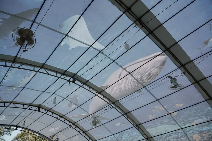 看舞台劇的遮陽棚上也有海洋動物,很有趣