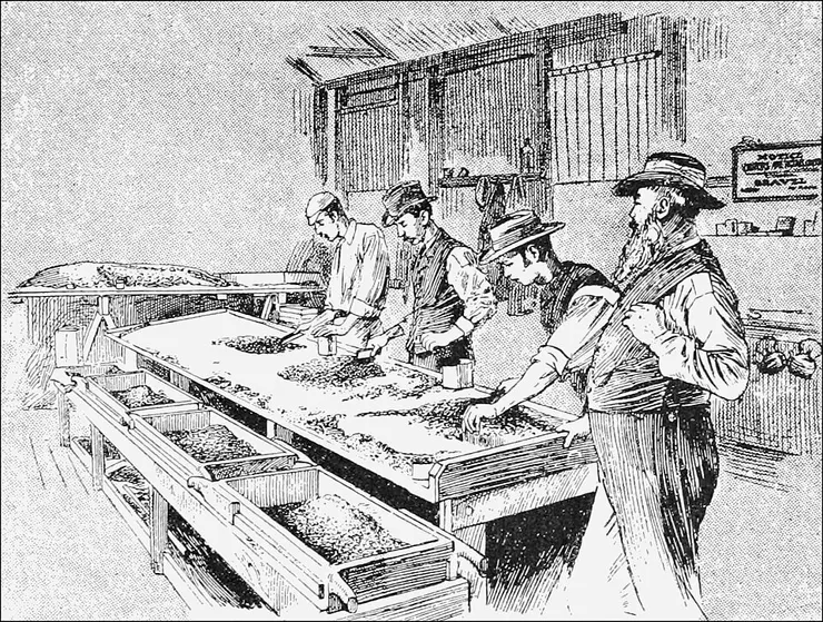 圖片來源：Sorting gravel for diamonds at Kimberley（1892），Wikimedia Commons（Public Domain）