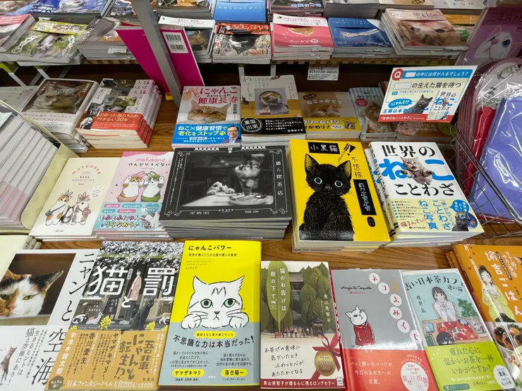 我們的小黑貓也混在其中