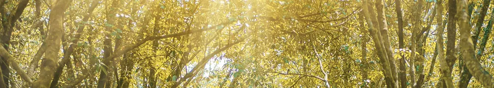 LoveFeeling的沙龍