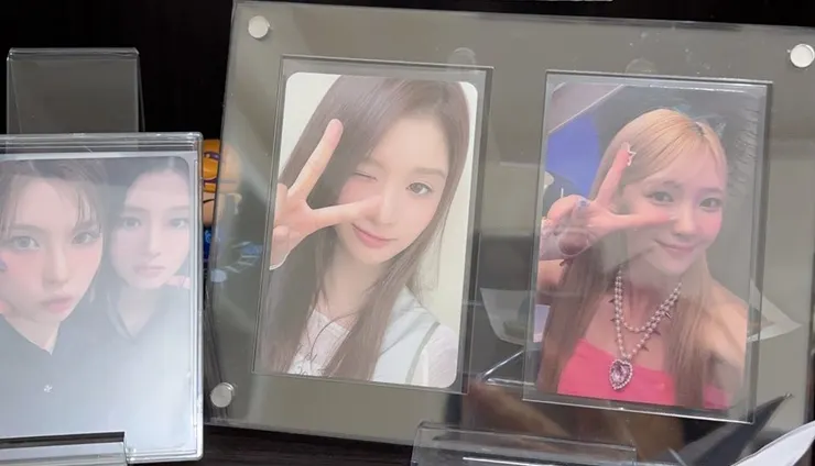 桌子的前面 35 🦌 🐱