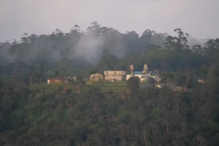 森林的對面有着想城堡的建築