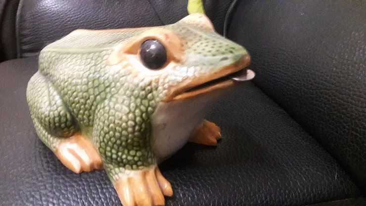 ▲▼摔斷蟾蜍腿惹禍…名醫一家被妖精挾持 還鐵齒轟走救兵(圖/小檸檬供稿專用)