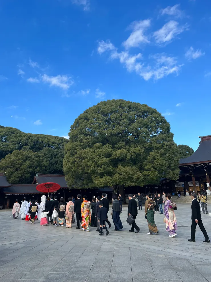 在神社舉辦婚禮「神前式」