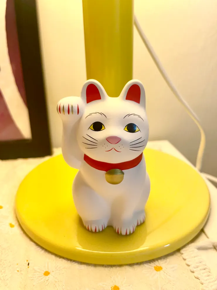 我買的3號招福貓