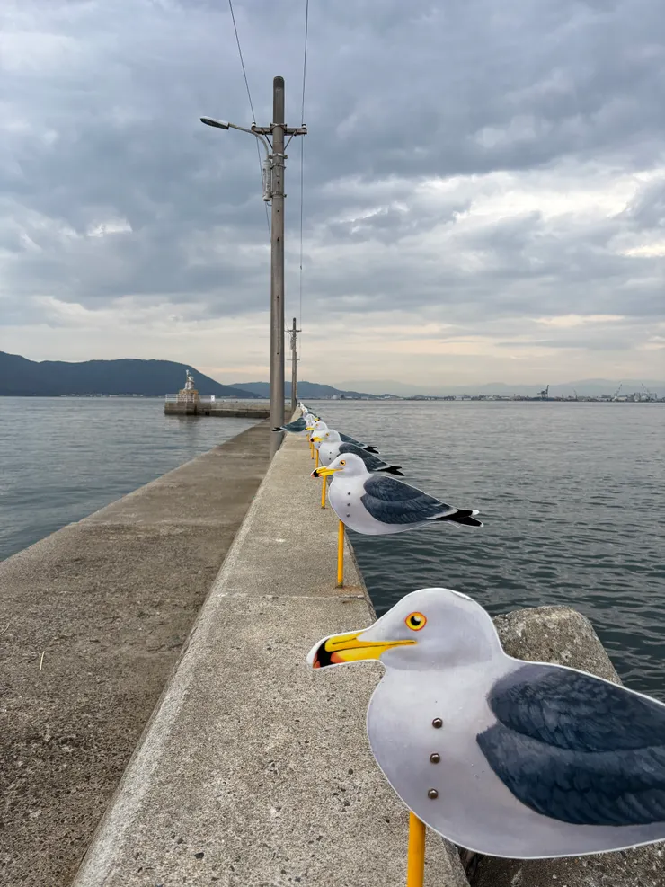 瀨戶內藝術祭｜ 女木島｜海鷗