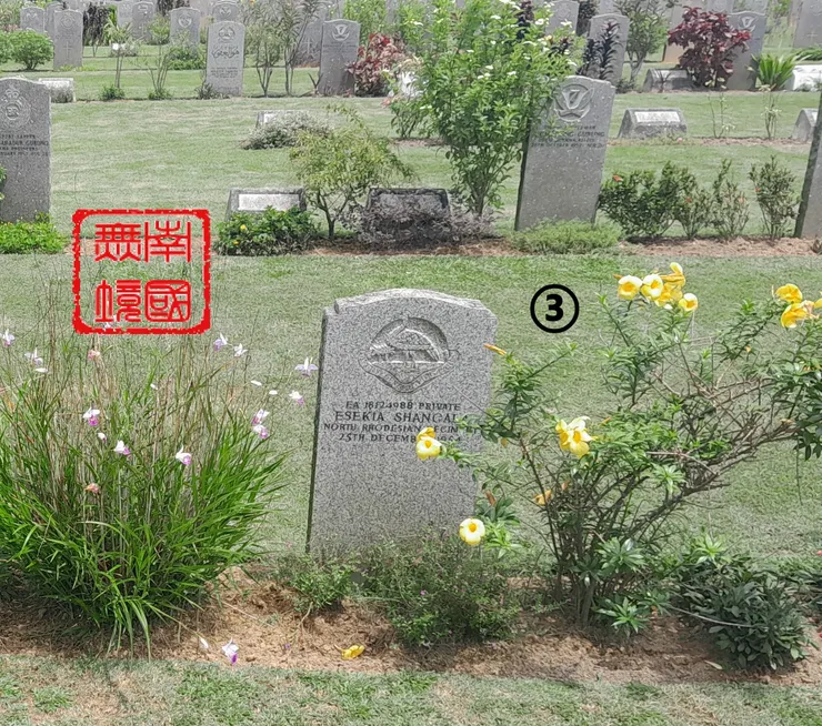 本人攝於2025年2月18日。