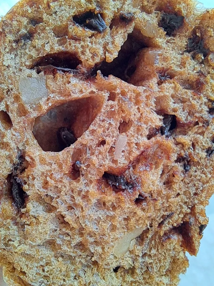 桂圓核桃麵包氣孔組織。