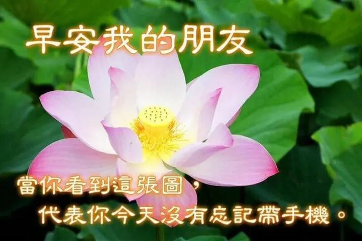 長輩圖 (圖片來源請見連結內容)