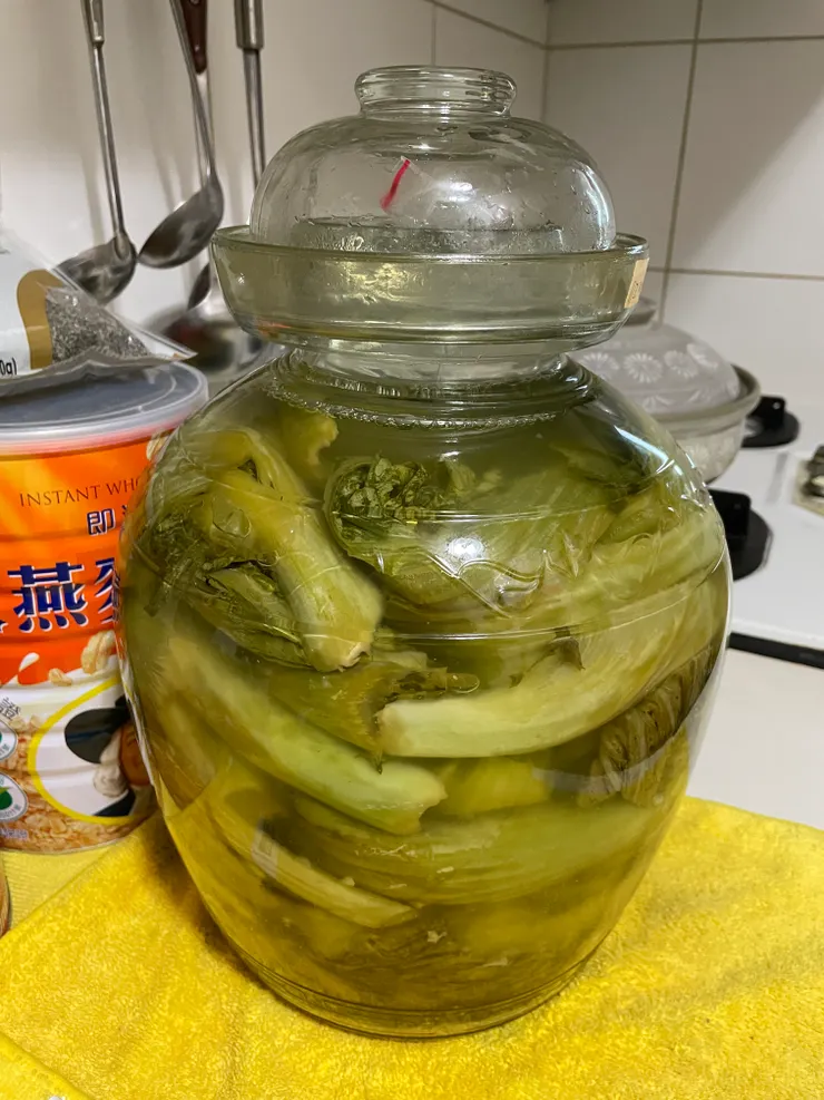 已醃製十天的芥菜