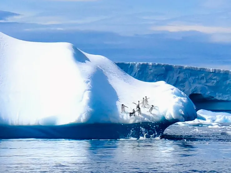 撲通撲通一一落海。