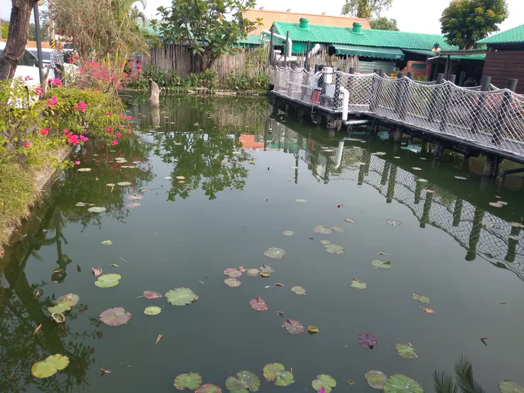還有古色古香的池塘