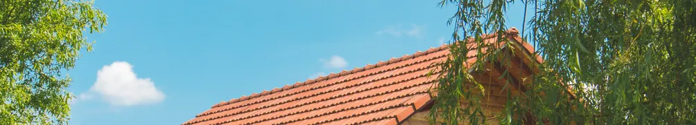 追尋自由且有選擇的人生