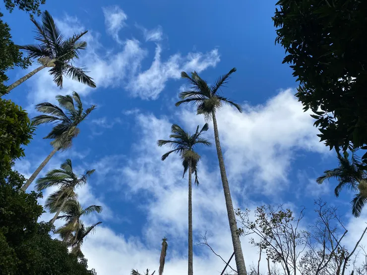 從露天溫泉仰望天空的即視感