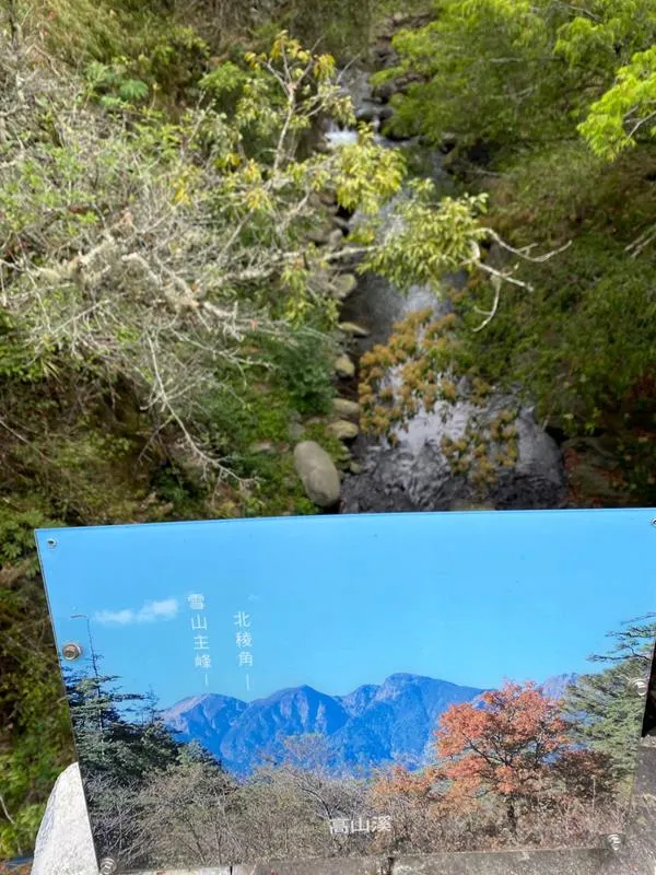 億年橋上小小告示看板