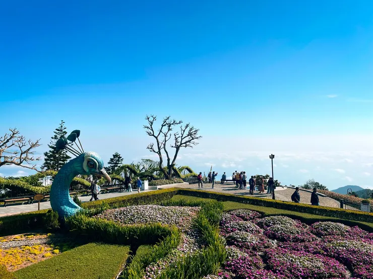 巴南山山腰雲海觀景處 shot by Emma@巴拿山,越南。 17 / 01 / 2026.
